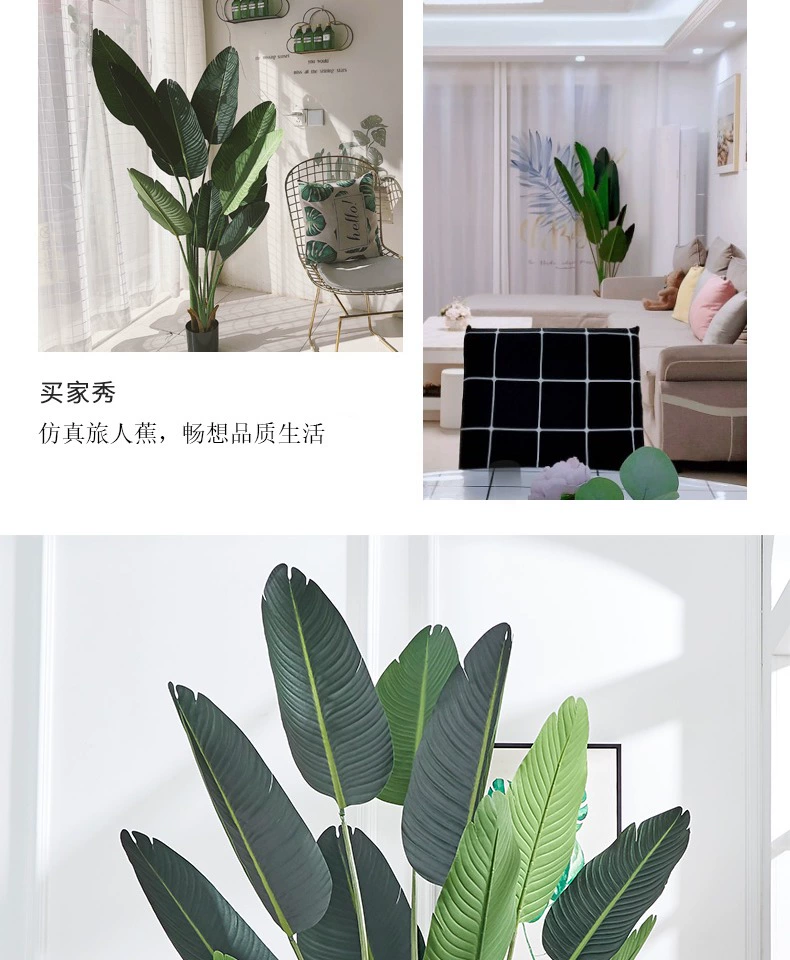 PU mô phỏng du khách chuối đồ trang trí phòng khách sàn chim thiên đường trang trí chậu giả Bắc Âu ánh sáng sang trọng cây xanh cây lớn hoa giả bàn thờ