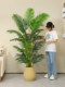High-End Light Luxury Artificial Areca Palm Green Plant for Indoor Decoration, Large Floor-Standing Ornament for Living Room, Fake Potted Plant