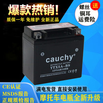 YT5A-BS Qiaoge joy Honda Princess 100 dry battery Universal 12V5ah battery Motorcycle battery
