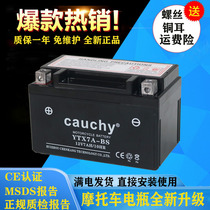 Motorcycle battery YTX7A-BS maintenance-free Haomai Haojue Yuexing 125 pedal accessories battery 12V7AH