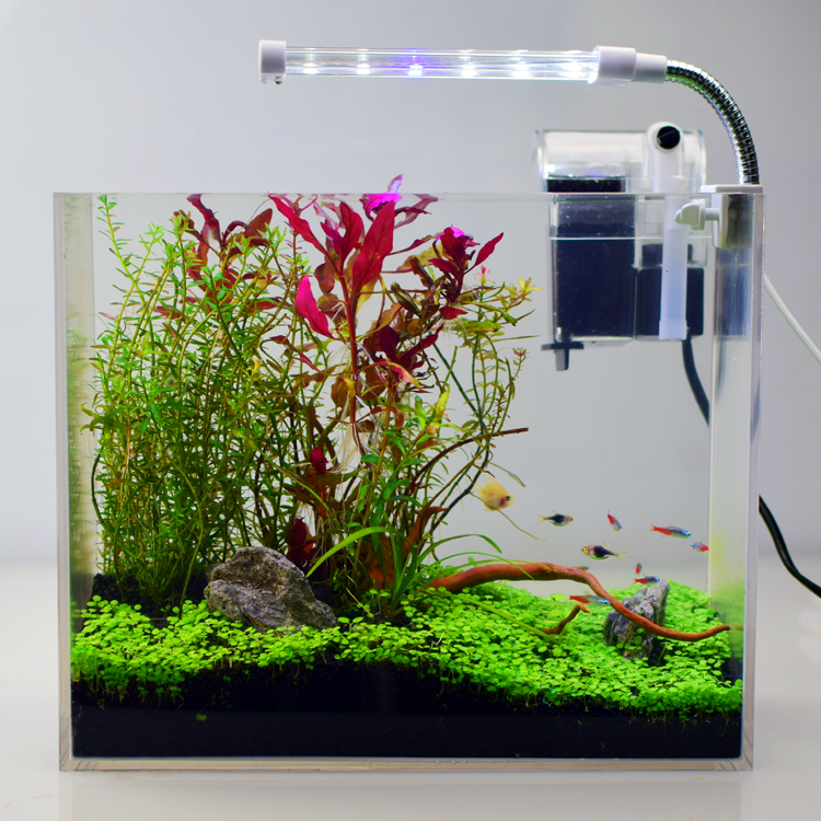 Acrylic Desktop Square Betta Fish Tank Landscape Wall Mounted