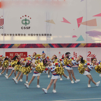 New 2016 factory customized mass competitive aerobics suit Artistic gymnastics suit La La exercise game suit