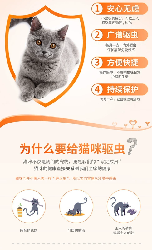 Thú cưng lớn yêu mèo in vitro và thuốc tẩy giun in vivo cho mèo cưng thả 3 con bọ chét bằng 3 hộp - Cat / Dog Health bổ sung