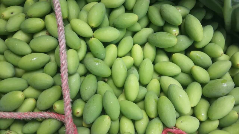 现摘潮汕新鲜青橄榄生青果500克 清胎毒孕妇水果沙榄白榄2斤包邮
