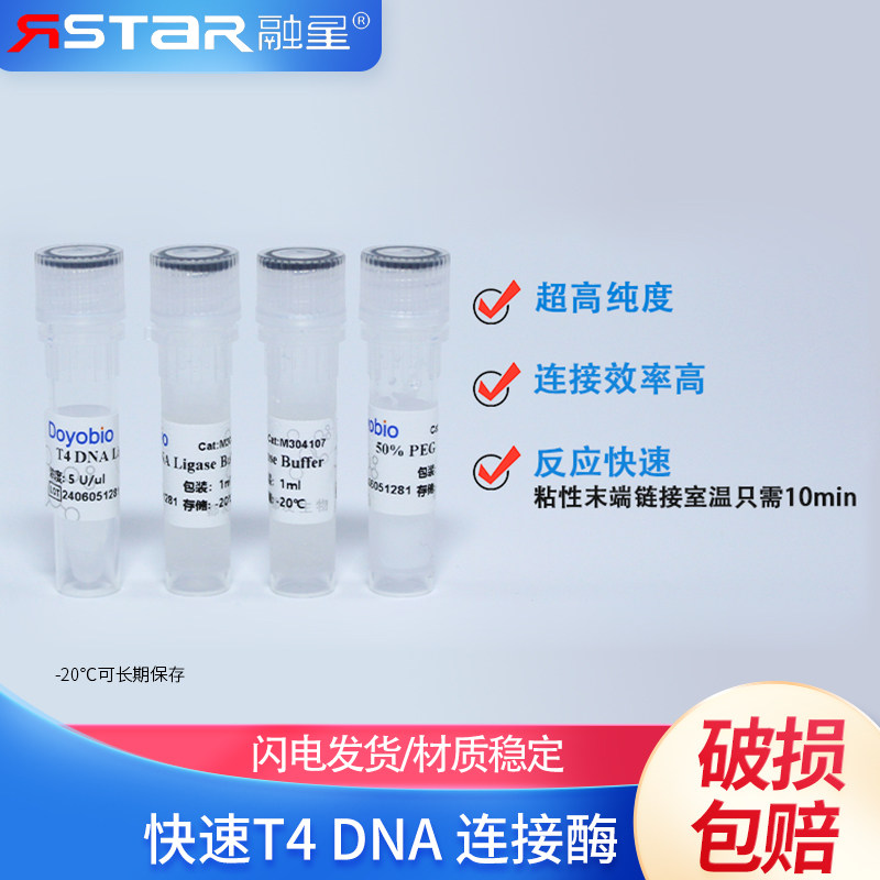 快速T4 DNA连接酶 1000 U，T4 DNA Ligase（Fast）