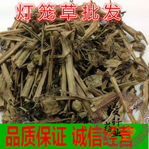 Chinese herbal medicine lantern grass beak grass beak Sky bubble grass yellow lantern yellow girl 500 grams 2 pieces