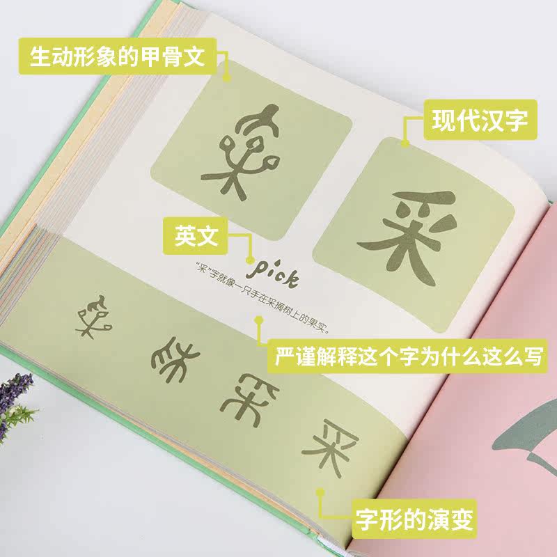 正版 精裝 漢字是畫出來的0 3 6歲小象漢字我的漢字書幼兒早教啟蒙甲骨文識字寶寶看圖識字家庭幼兒親子教育啟蒙書籍