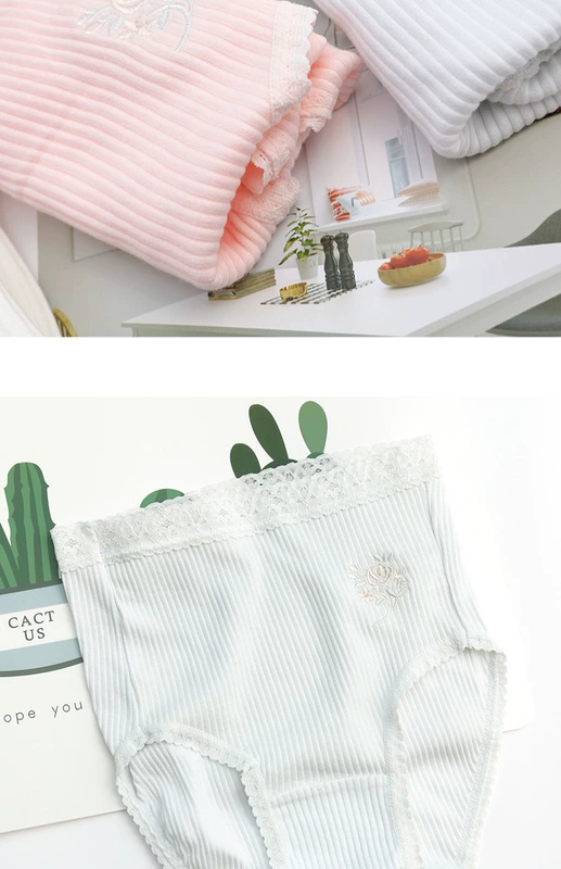 3 包邮 Nhật Bản tươi nhỏ cotton cao eo đồ lót cotton tóm tắt của phụ nữ với kích thước lớn DK69 quần lót calvin klein nữ chính hãng