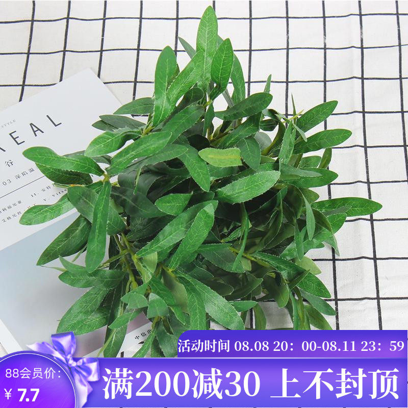 New Wedding Olive Branch Arsenal Scene Art Welcome Welcome Art Window Art