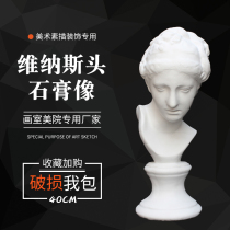 Gypsum statue little Venus head art supplies plaster portrait sculpture ornaments painting set sketch model