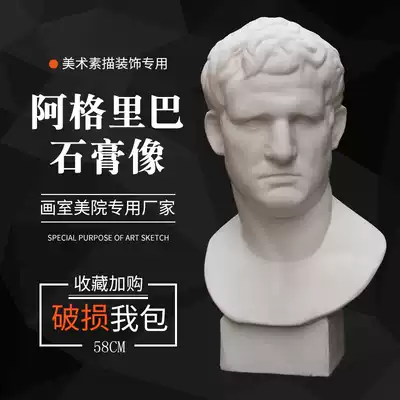 Agriba plaster statue mold Extra-large art education art sketch decoration Painting portrait head sculpture