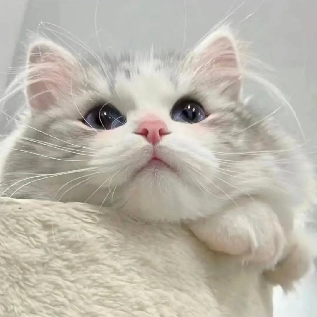 唯美精品女装直销