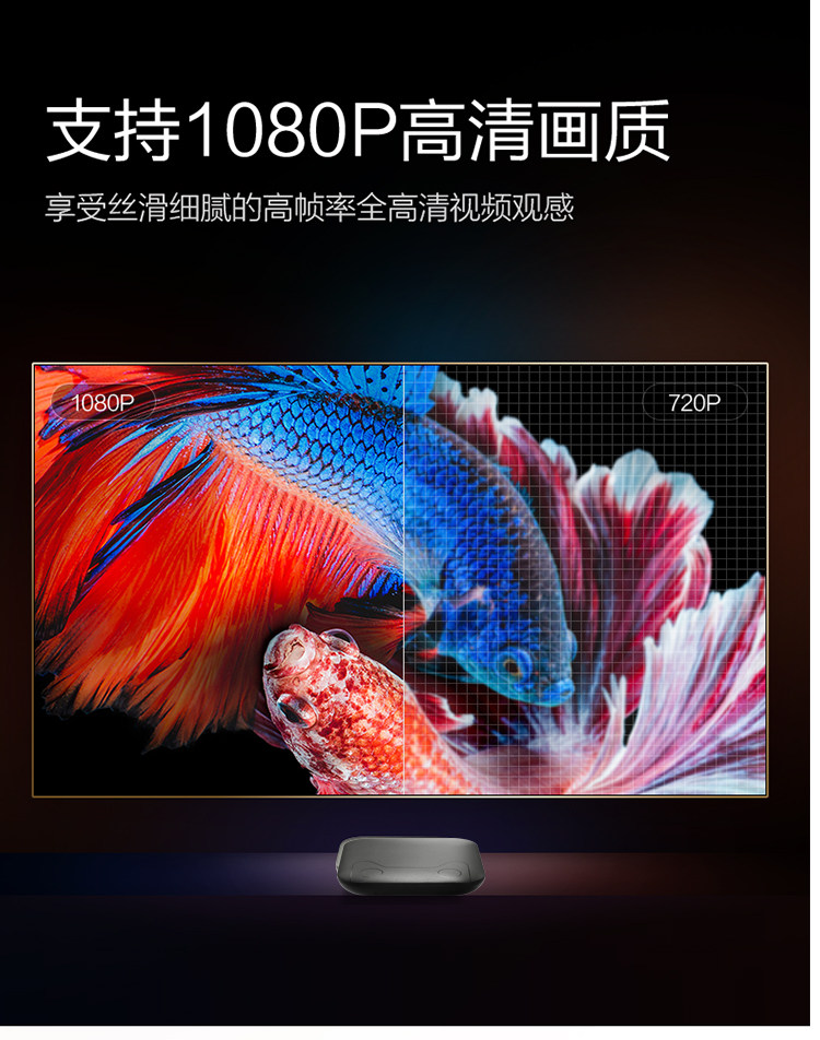 черный Cat-C-2020-10-4_05.jpg