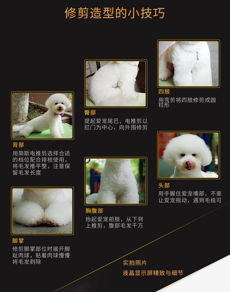 Jane Step Push 920 Описание ребенка -0730xx_09.jpg