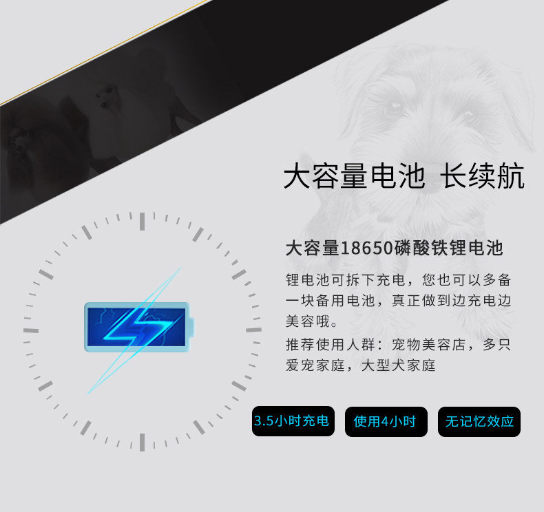 Jane Step Push 920 Описание ребенка -0730xx_02.jpg