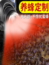 Red head light can sense special beekeeping check bee honey Super bright flashlight focus red and white dual light source Head-mounted