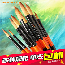South Korea imported Huahong HWAHONG700R nylon watercolor Pen Hook drawing pen illustration pen cone brush