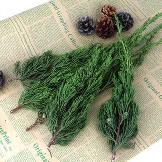 Purely natural real pine and cypress branches and leaves, cypress leaves, christmas tree decorations, diy garland, eternal flowers, pine cone ornaments, hinoki cypress