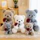 Hong Kong Sc Creative Couple Teddy Bear Doll Valentine's Day Rose Bear Plush Toy Doll Birthday Gift