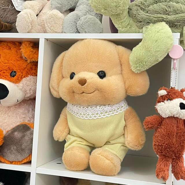 Hong Kong Sc Internet Celebrity Xiaobiga Plush Toy Doll Family Dog Poodle Bag Doll Birthday Gift