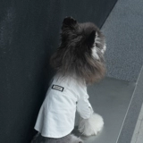 Костюм для собаки, платье, свадебная одежда владельца, галстук-бабочка, украшение для домашнего животного, посещение свадьбы, праздничное подарочное кольцо, Бишон Фризе