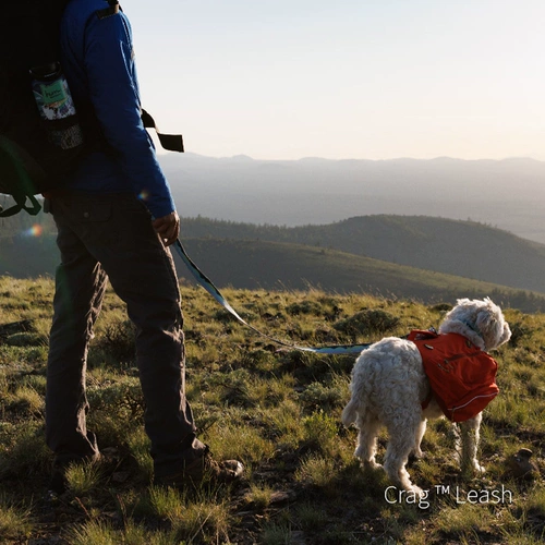 拉夫威尔 Clarg Dog воротник ex тяга RW Dog Seck, большие, собаки среднего размера, ходячая собачья веревка