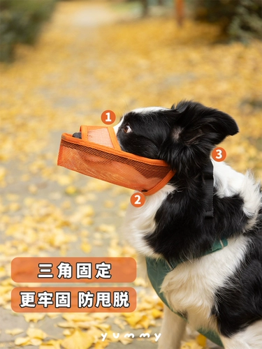 Корпус собаки анти -планом по употреблению антирадома, ошибочный питомец большой щенок щенок для собак