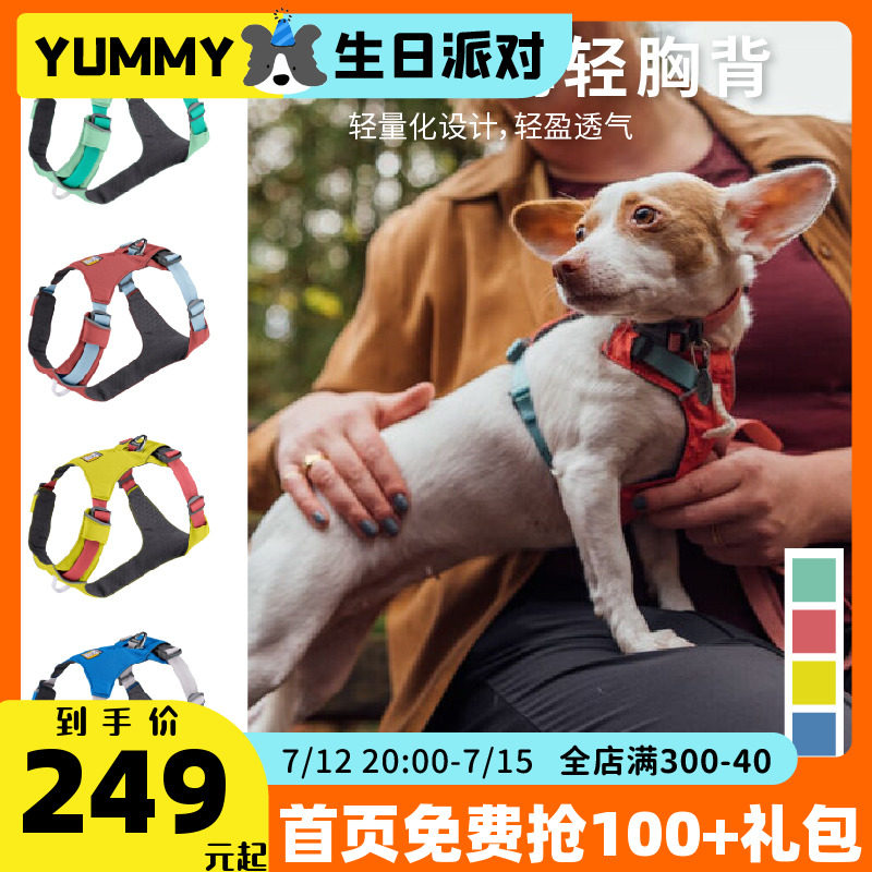 Pet Lavwer Hi Light Chest Back American Import Walking Dog Traction Anti-Explosion Punching Young Dog Chest Holding Baby Bag Pooch Supplies