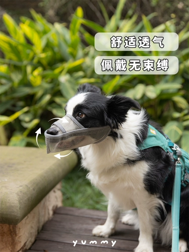 Корпус собаки анти -планом по употреблению антирадома, ошибочный питомец большой щенок щенок для собак