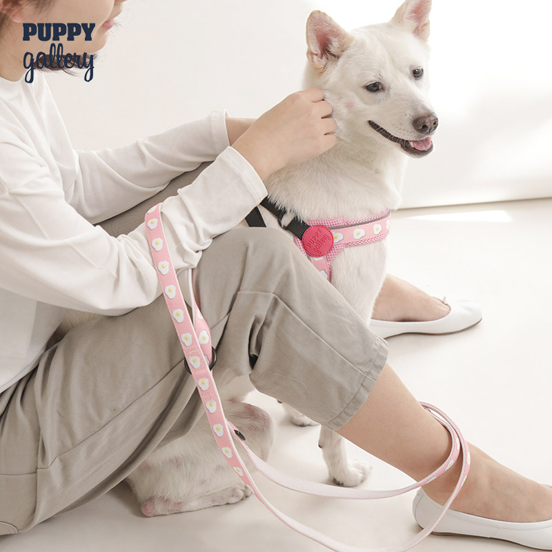 South Korea Puppy Gallery Pet Chest Back Traction Small Dog Dog Cute Young Dog Explosion Protection for Dog Rope