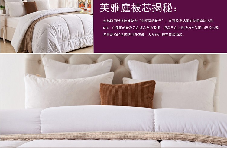 Khách sạn lanh giường Xuống chống bông nhung lông quilt là mùa xuân lõi - Quilts 	vỏ chăn trần bông everon	