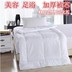 Vẻ đẹp là cốt lõi massage chăn bedspread Body SPA chân dành riêng dày mùa thu ấm áp và mùa đông là vận chuyển lõi - Quilts 	chăn xô trần bông	 Quilts