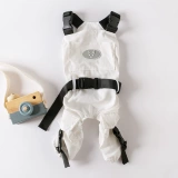 Приливное платье бренда выглядеть собачьем четырех -юбки Скюенари чайная чашка собака весна тонкая сатсума большая одежда для собак Весна и лето