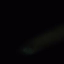 (Negotiable) 6 solids 120g