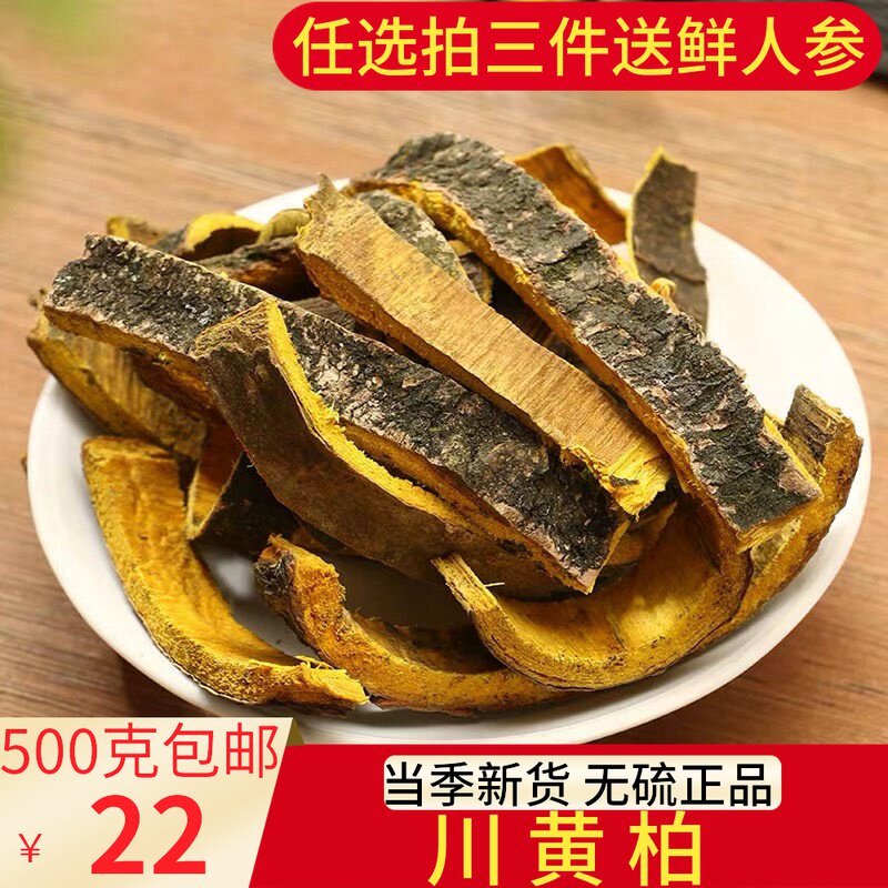 Chinese herbal medicines Phellodendron phellodendri Guan Phellodendri 500g Phellodendron Phellodendri
