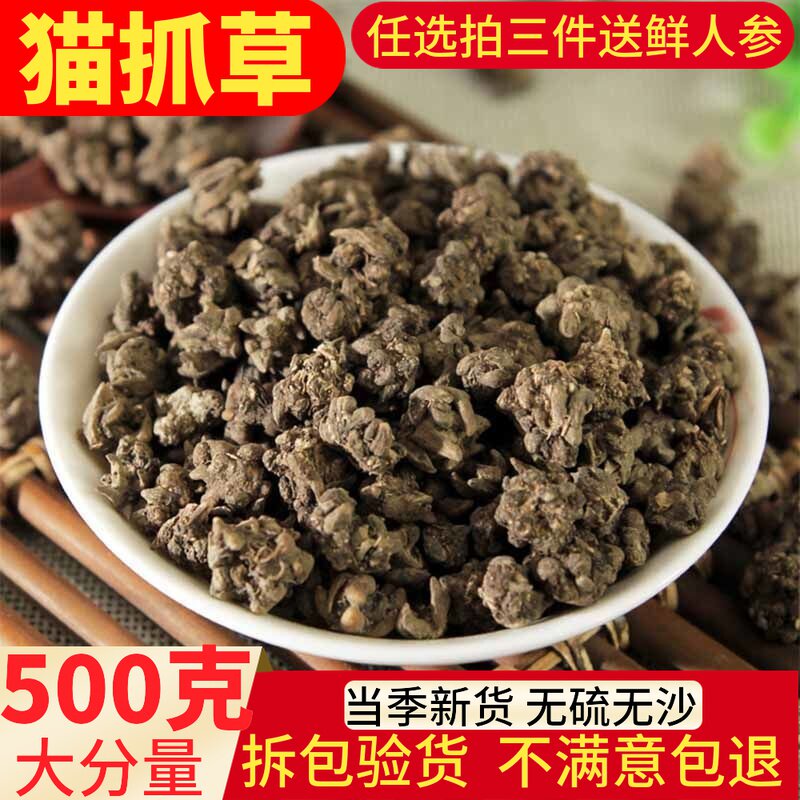 Selected cat's claw grass, cat-scratch grass powder 500g, raw water washed fresh dry cat melon grass