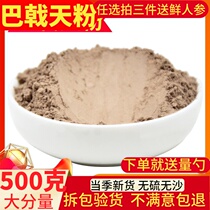 Ultrafine Trident Powder 500g T Grade Fresh Officinalis Bubble Wine Chinese Herbal Medicine MORINDA