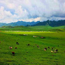 21 great grassland live background decorative wall cloth straight sowing room 3d stereo main sowing background cloth Mongolian grassland background cloth