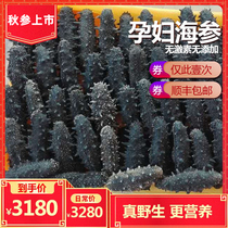 Small Arms Even wild sea cucumbers dry goods 500g Bottom sowing of sea cucumbers Liaoginseng edible sea leachate Pale Dry Sea Cucumber Gift Boxes