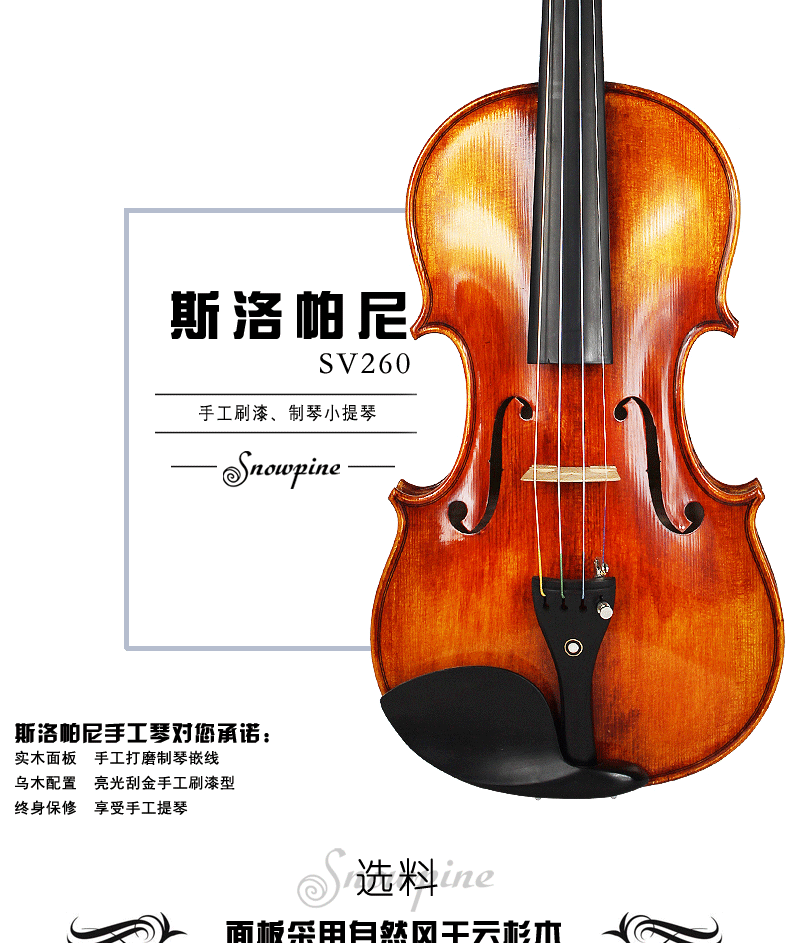 SV250 Описание_01.GIF