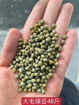 New large mung beans 48 catties mung beans 24 kg large selection of grains and grains large discounts many provinces