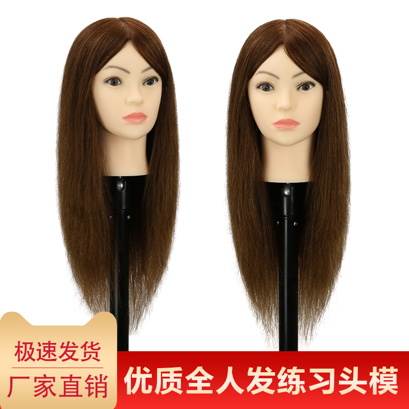 Hairdressing Mannequin with Real Hair for Apprentice Practice, Haircut Practice Head Model, Special for Hairdressing, Can Be Permed and Dyed, Dummy Head