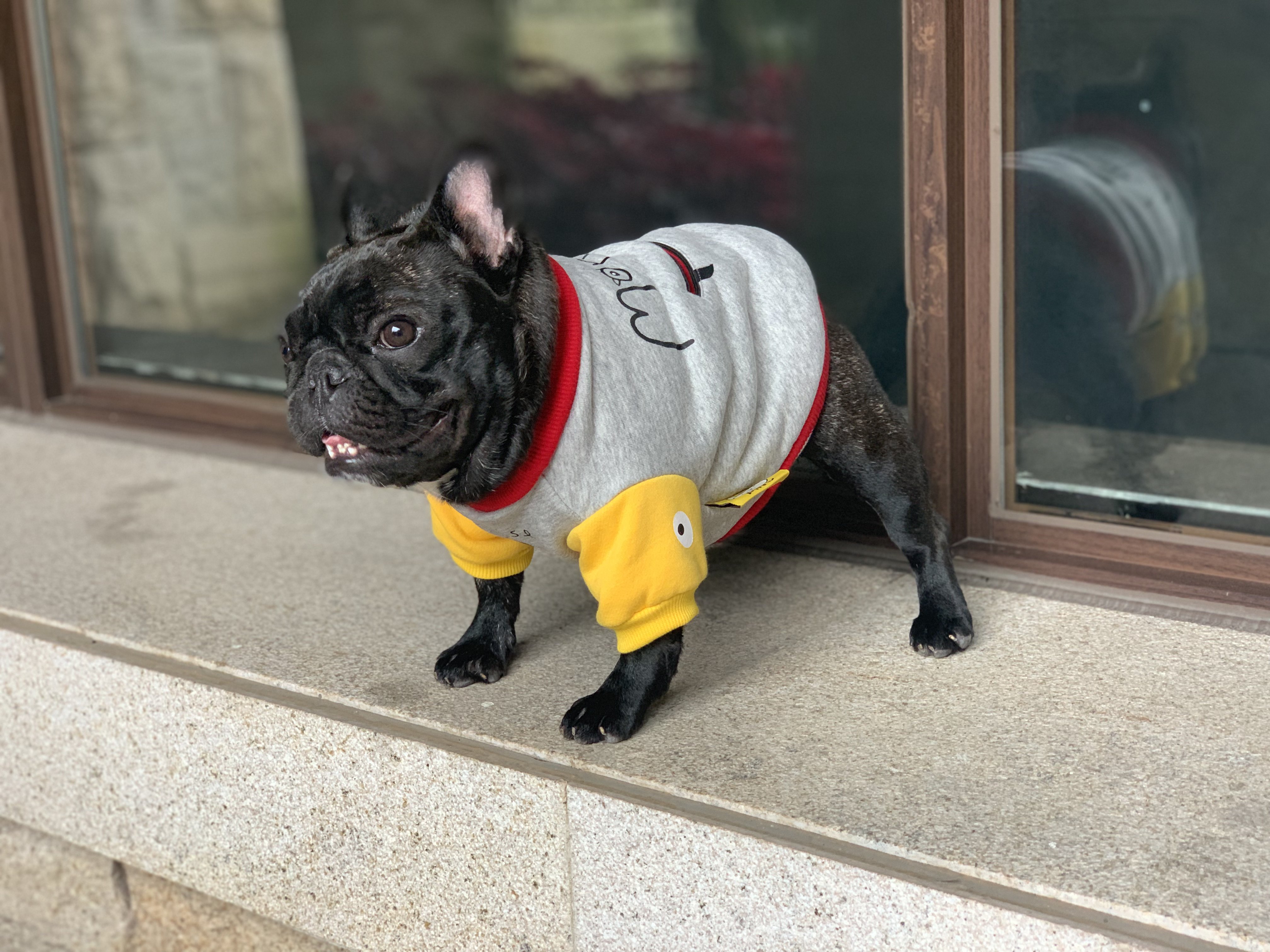 Fadou Clothes Bago Clothes Bulldog Plus Velvet Clothes Little Devil Clothes Pet Dog Clothes