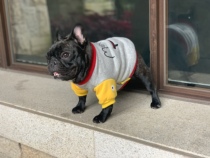 Fadou Clothes Bago Clothes Bulldog Plus Velvet Clothes Little Devil Clothes Pet Dog Clothes