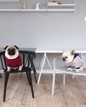 Fadou Clothes Bago Clothes Fadou Wei Clothes Hood Stretch Size Fat Dog Clothes Bullfighting Clothes