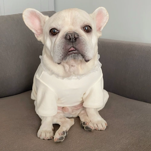 Фамиссия одежды мопс одежда для любимой собаки базовая рубашка