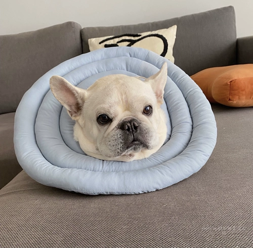 СОБАКА ПЕЧТА СОБАКОВАЯ СОБАКА МЕТОД МЕТОС