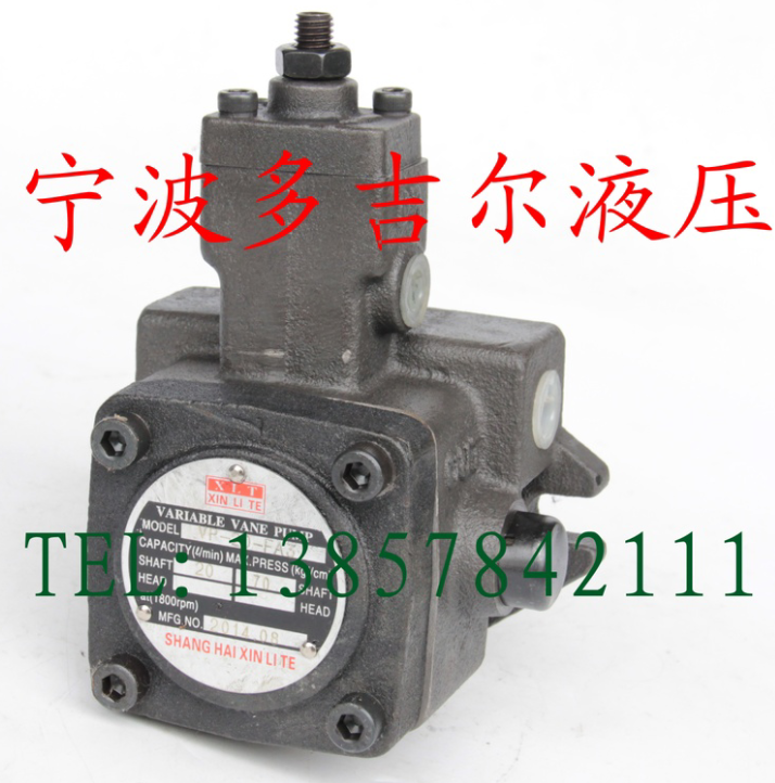 Taixin Tailun Variable Blade Pump VP-20 VP15 VP08 VPSF VP-20-FA3 Low Noise