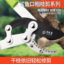 Powerful repair of tree coarse branches and branches telescopic vigorous sergees fruit trees Cut high branches Branches Cut garden gardening Pruning Tools