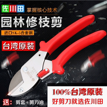Zookawa Fields 738 Iron Anvil Cut Twigs Branches Flowers Branches Cut Branches Pruning Branches Garden Fruits Branches Gardening Fruits Pruner Pruning Tools